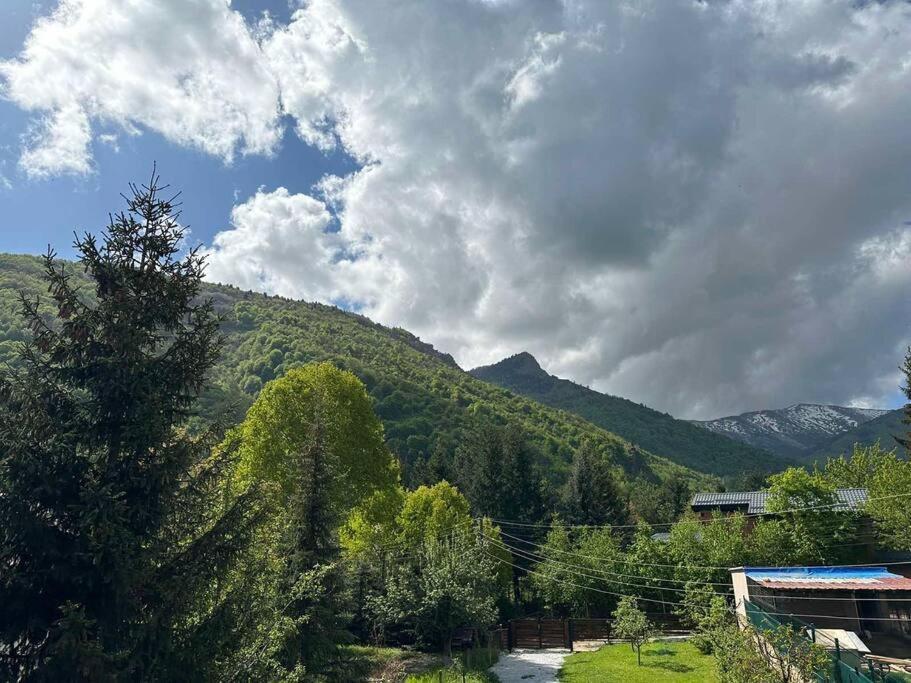 Cosy Mountain Villa In Nizepole Bitola Kültér fotó